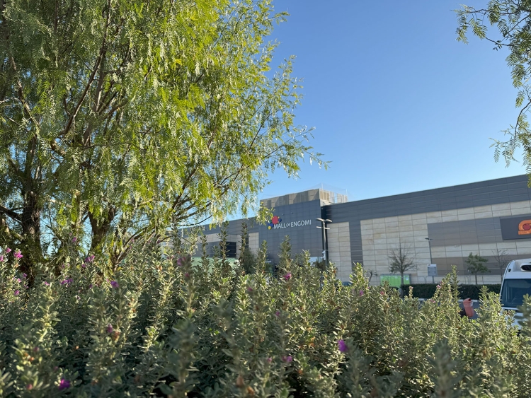 moe image 3