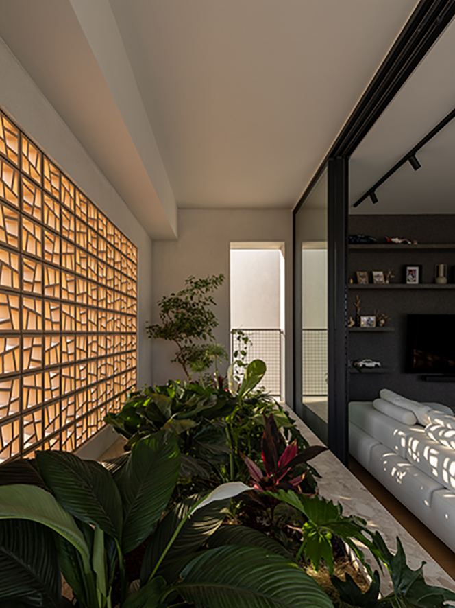Interlace-37