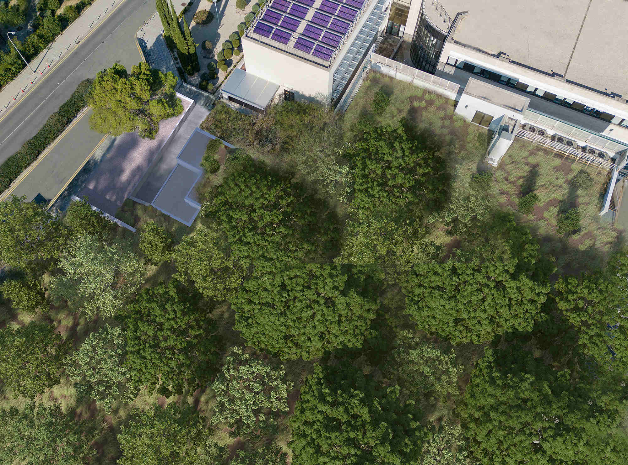 cyclotron view 01